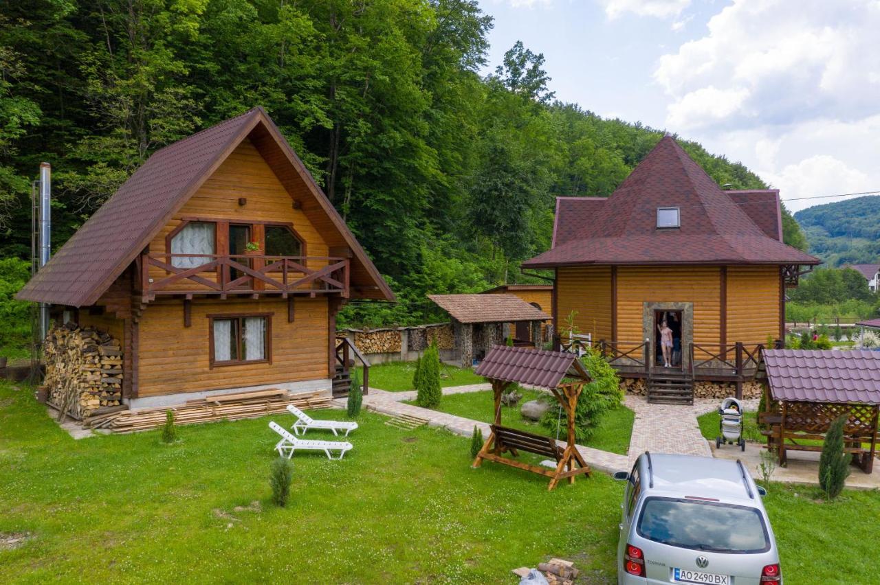 Chalet Vedmezhe Polyana  Ngoại thất bức ảnh