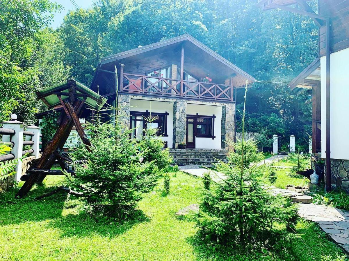 Chalet Vedmezhe Polyana  Ngoại thất bức ảnh