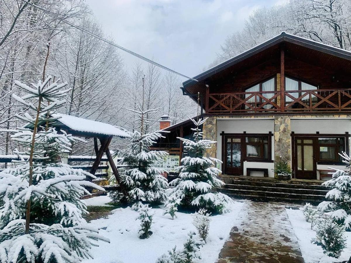 Chalet Vedmezhe Polyana  Ngoại thất bức ảnh