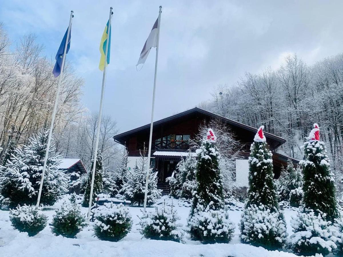Chalet Vedmezhe Polyana  Ngoại thất bức ảnh
