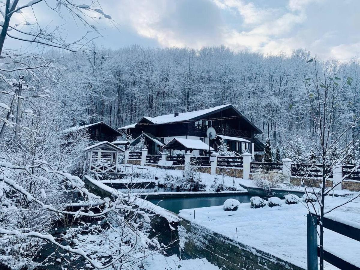 Chalet Vedmezhe Polyana  Ngoại thất bức ảnh