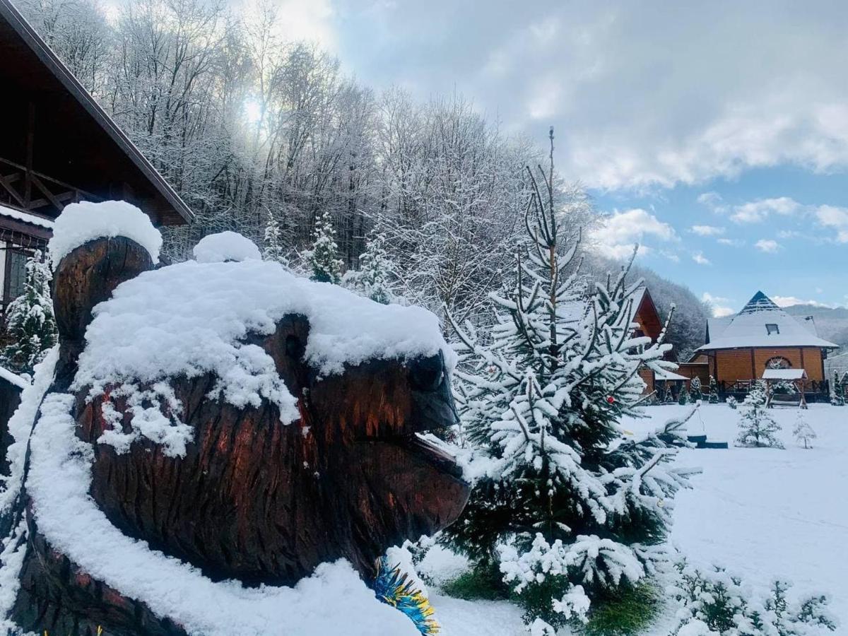Chalet Vedmezhe Polyana  Ngoại thất bức ảnh