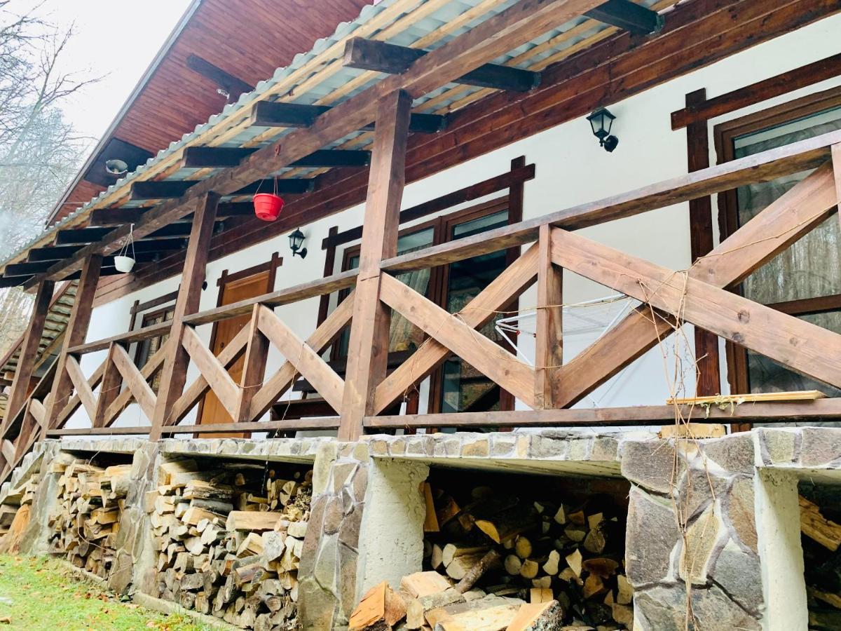 Chalet Vedmezhe Polyana  Ngoại thất bức ảnh