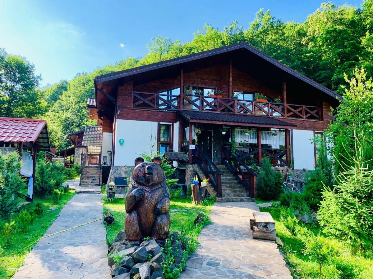 Chalet Vedmezhe Polyana  Ngoại thất bức ảnh